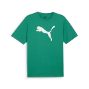 teamRISE Logo Baumwollshirt Sport Green-PUMA White