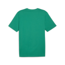 teamRISE Logo Baumwollshirt Sport Green-PUMA White