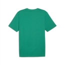 teamRISE Logo Baumwollshirt Sport Green-PUMA White