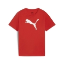 teamRISE Logo Baumwollshirt Junior PUMA Red-PUMA White