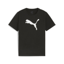 teamRISE Logo Baumwollshirt Junior PUMA Black-PUMA White