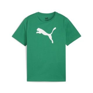 teamRISE Logo Baumwollshirt Junior Sport Green-PUMA White