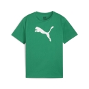 teamRISE Logo Baumwollshirt Junior Sport Green-PUMA White