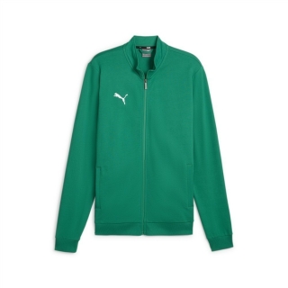 teamGOAL Casual Tracktop Sport Green-PUMA White