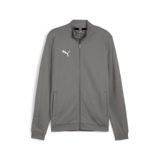 teamGOAL Freizeitjacke Flat Medium Gray-PUMA White