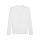 teamGOAL Baselayer Tee LS PUMA White-Feather Gray