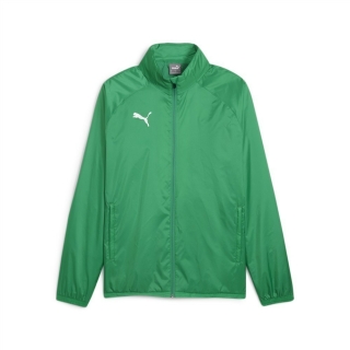 teamGOAL Regenjacke Sport Green-PUMA White