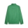 teamGOAL Regenjacke Sport Green-PUMA White