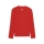 teamGOAL Funktionsshirt langarm Junior PUMA Red-Fast Red