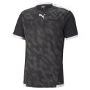 teamLIGA Referee Trikot Puma Black-Puma White