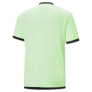 teamLIGA Referee Jersey Fizzy Lime-Puma Black