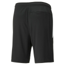 teamLIGA Referee Short Puma Black-Puma White