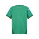 teamFINAL Jersey Sport Green-PUMA White-Power Green