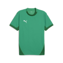 teamFINAL Trikot Sport Green-PUMA White-Power Green