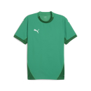 teamFINAL Jersey Sport Green-PUMA White-Power Green