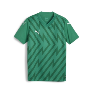 teamGLORY Jersey Jr Sport Green-PUMA White-Power Green