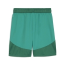 teamFINAL Shorts Sport Green-PUMA White-Power Green