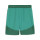 teamFINAL Short Sport Green-PUMA White-Power Green