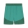 teamFINAL Shorts Sport Green-PUMA White-Power Green