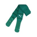teamFINAL Socks Sport Green-PUMA White-Power Green