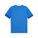 teamGOAL Matchday  Jersey Electric Blue Lemonade-PUMA...