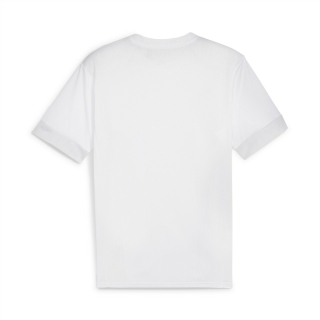 teamGOAL Matchday  Jersey PUMA White-PUMA Black-Feather Gray