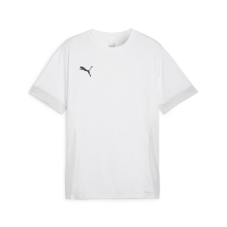 teamGOAL Matchday  Jersey PUMA White-PUMA Black-Feather Gray