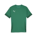 teamGOAL Matchday Trikot Sport Green-PUMA White-Power Green