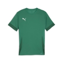 teamGOAL Matchday  Jersey Sport Green-PUMA White-Power Green