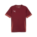 teamGOAL Matchday  Jersey Team Regal Red-PUMA White-Astro...