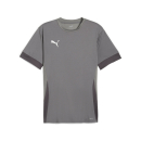 teamGOAL Matchday Trikot Cast Iron-PUMA White-Shadow Gray