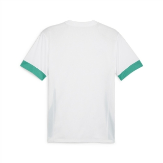 teamGOAL Matchday Trikot PUMA White-Sport Green-Sport Green