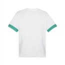 teamGOAL Matchday  Jersey PUMA White-Sport Green-Sport Green