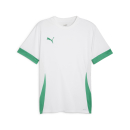 teamGOAL Matchday Trikot PUMA White-Sport Green-Sport Green