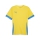 teamGOAL Matchday  Jersey Faster Yellow-Electric Blue Lemonade