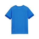 teamGOAL Matchday Jersey jr Electric Blue Lemonade-PUMA...