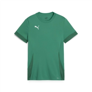 teamGOAL Matchday Jersey jr Sport Green-PUMA White-Power Green