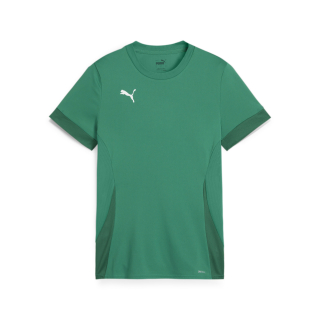 teamGOAL Matchday Trikot Junior Sport Green-PUMA White-Power Green