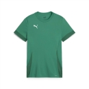 teamGOAL Matchday Jersey jr Sport Green-PUMA White-Power...