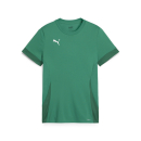 teamGOAL Matchday Trikot Junior Sport Green-PUMA...