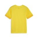 teamGOAL Matchday Trikot Junior Faster Yellow-PUMA...