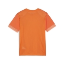 teamGOAL Matchday Trikot Junior Rickie Orange-PUMA...