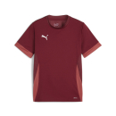 teamGOAL Matchday Jersey jr Team Regal Red-PUMA...