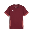 teamGOAL Matchday Trikot Junior Team Regal Red-PUMA...