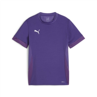 teamGOAL Matchday Trikot Junior Team Violet-PUMA White-Purple Pop