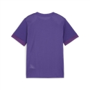 teamGOAL Matchday Jersey jr Team Violet-PUMA White-Purple...