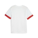 teamGOAL Matchday Jersey jr PUMA White-PUMA Red-PUMA Red