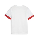 teamGOAL Matchday Jersey jr PUMA White-PUMA Red-PUMA Red