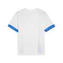 teamGOAL Matchday Trikot Junior PUMA White-Electric Blue...