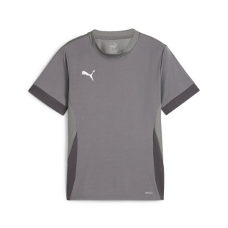 teamGOAL Matchday Trikot Junior Cast Iron-PUMA White-Shadow Gray